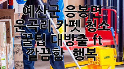 🤩 예산군 응봉면 운곡리 카펫 청소, ✨ 꿀팁 대방출! (ft. 깔끔함 + 행복)